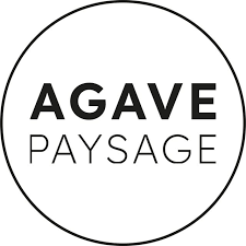 Agave Paysage