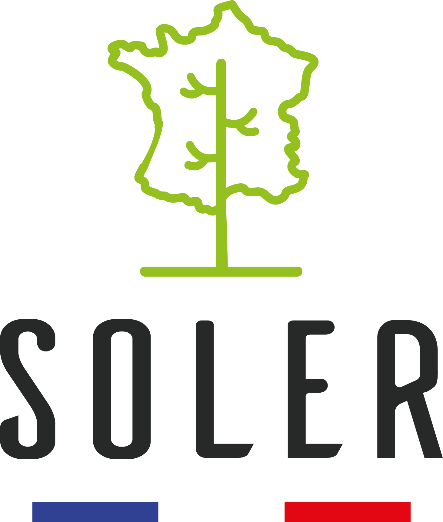 SOLER Logo Drapeau E Pais Couleur 2 1 